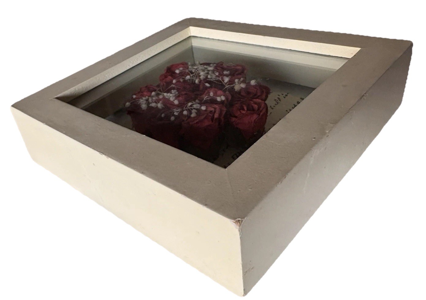 4.75” Preserved Red Roses w/ Newspaper Backing – Flower White Framed Shadow Box