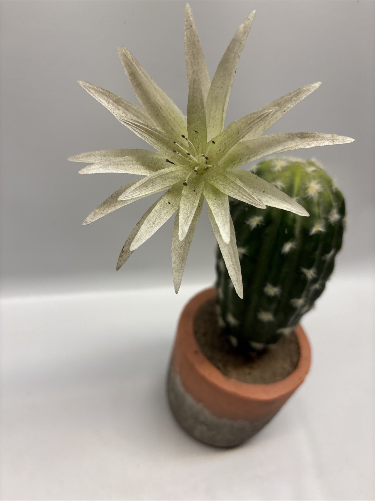 artificial Faux cactus home decor Style Modern Decor Inside In Terra Cotta 12”