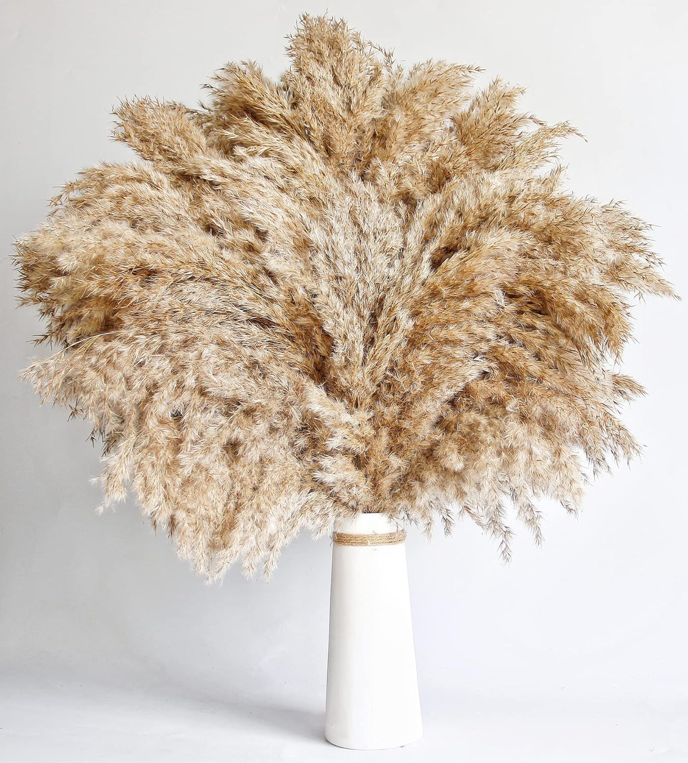 60 PCS Boho Decor, Fluffy Pompas Grass, Natural Dry Pampas Grass Small, Short Pa