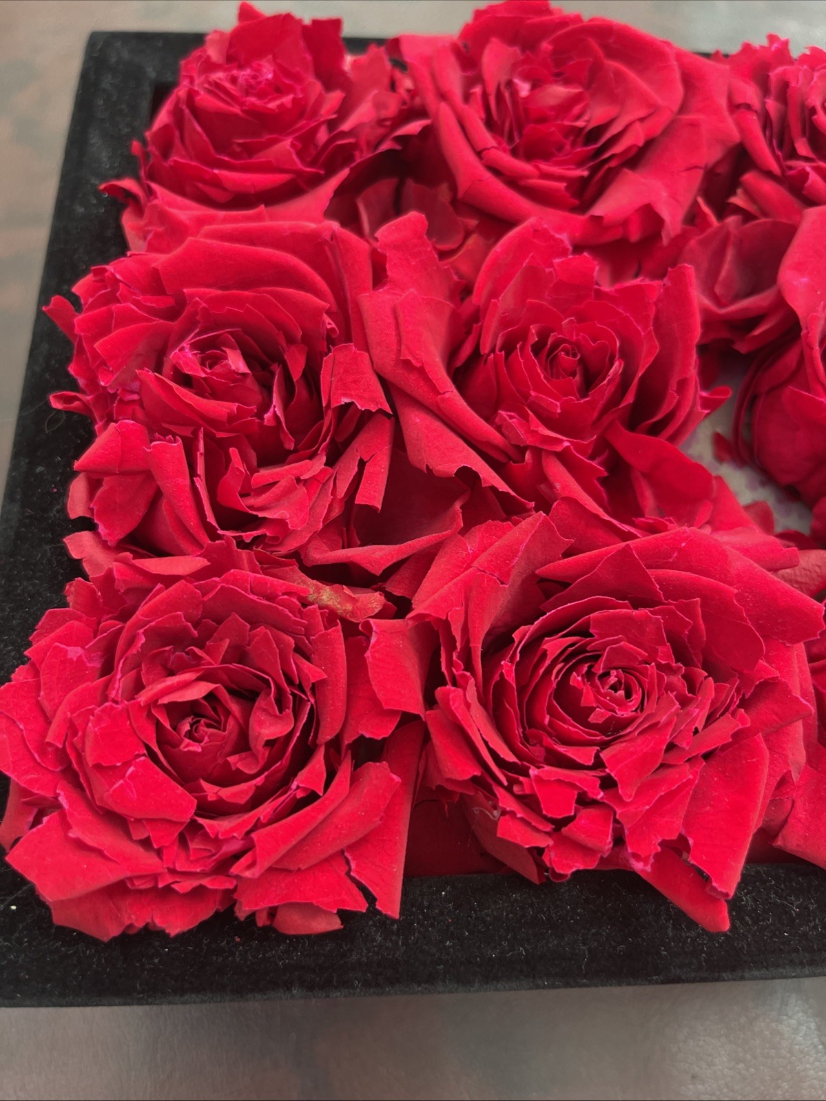 Rose Forever New York 9 Red Roses Black Velvet Square Flower Box Display Decor