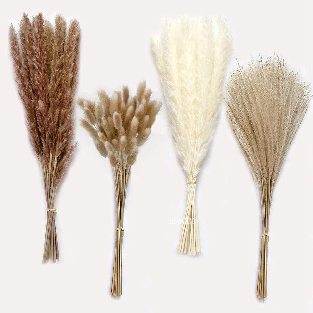 Grass Decor Home Decor Bouquet Natural Fluffy Dried Flowers for Wedding Floral