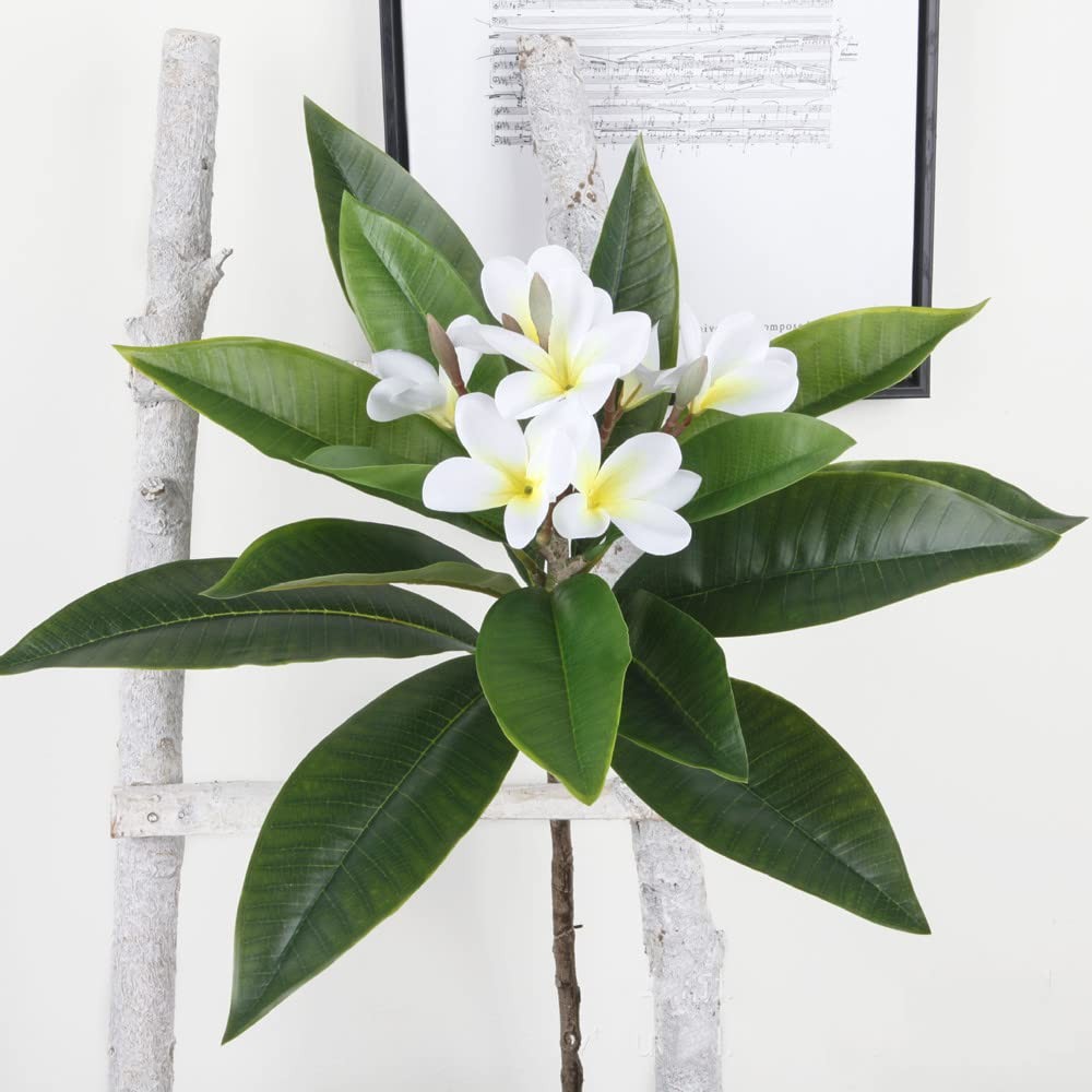 35.5 Inch Artificial Flowers Artificial Frangipani Flower 2 Pack Lifelike Rea…
