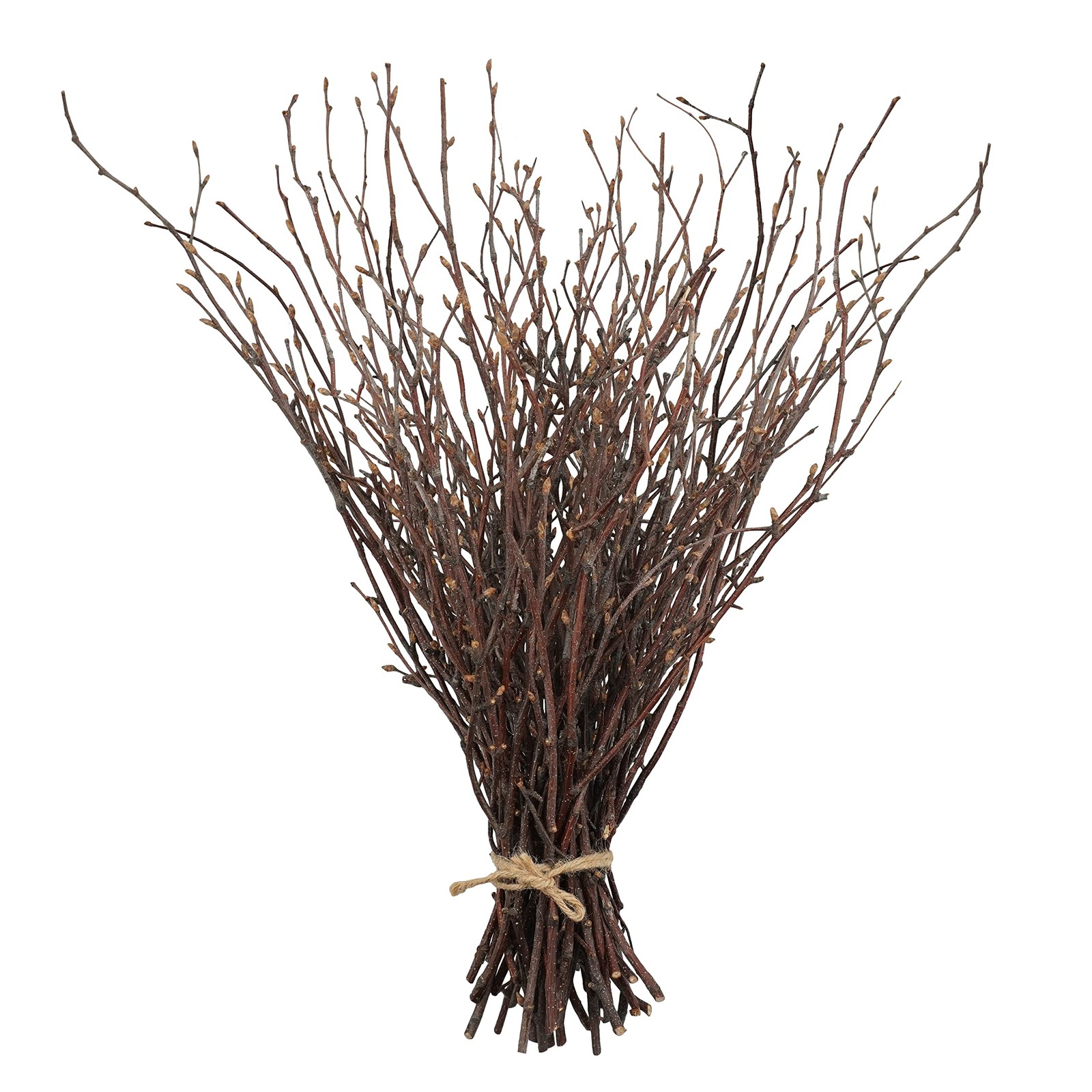 200 PCS Birch Twigs Natural Dried Decorative Branches 17 Inch Wood Stick