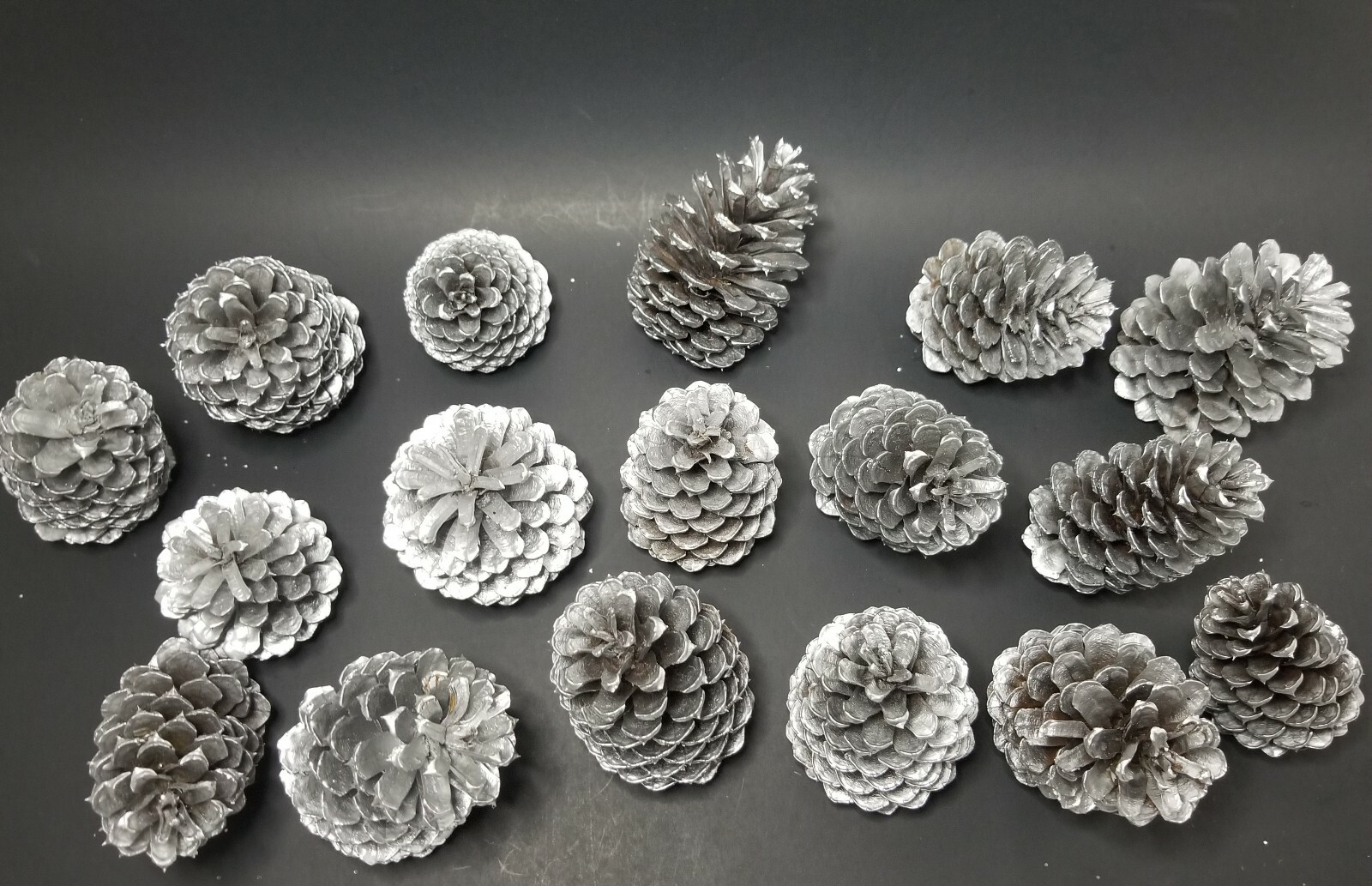 🎅15 Silver Pine Cones Hand Painted Natural Premium Ponderosa Cones