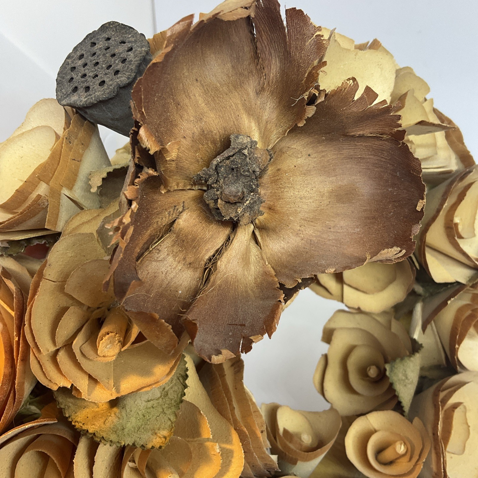 Sola Rose Flower Wood Curl Wreath Sepia Toned Beige