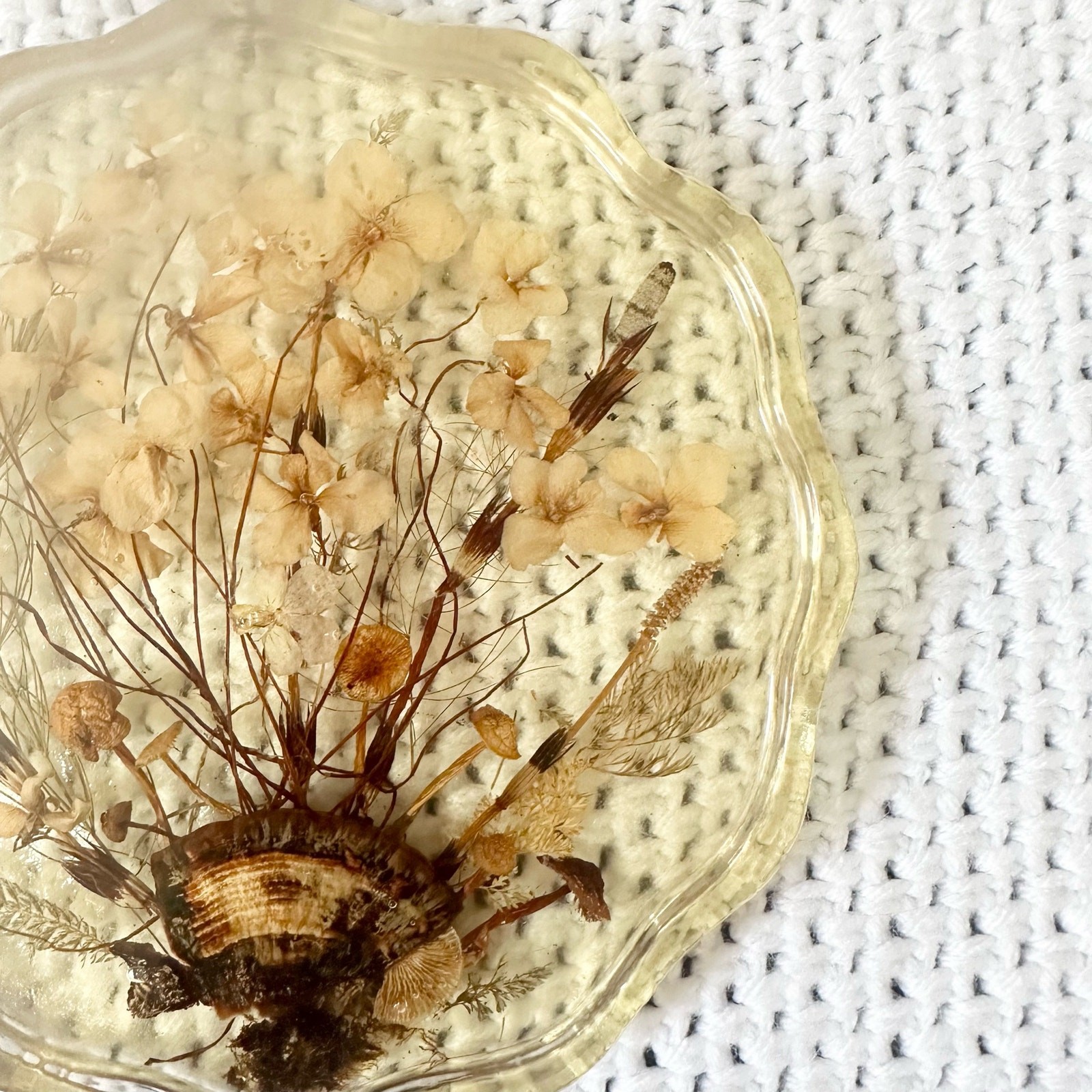 Resin Scalloped Edged Dried Preserved Pressed Wildflowers Seashell Wall Hanging