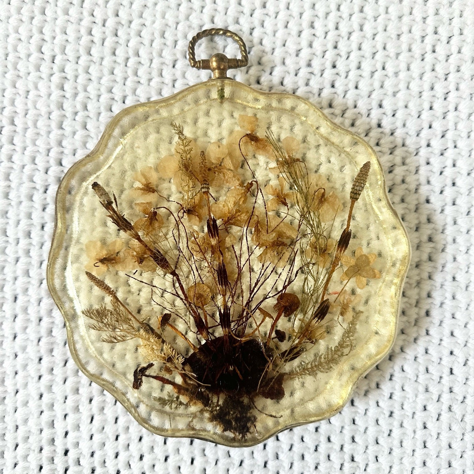 Resin Scalloped Edged Dried Preserved Pressed Wildflowers Seashell Wall Hanging