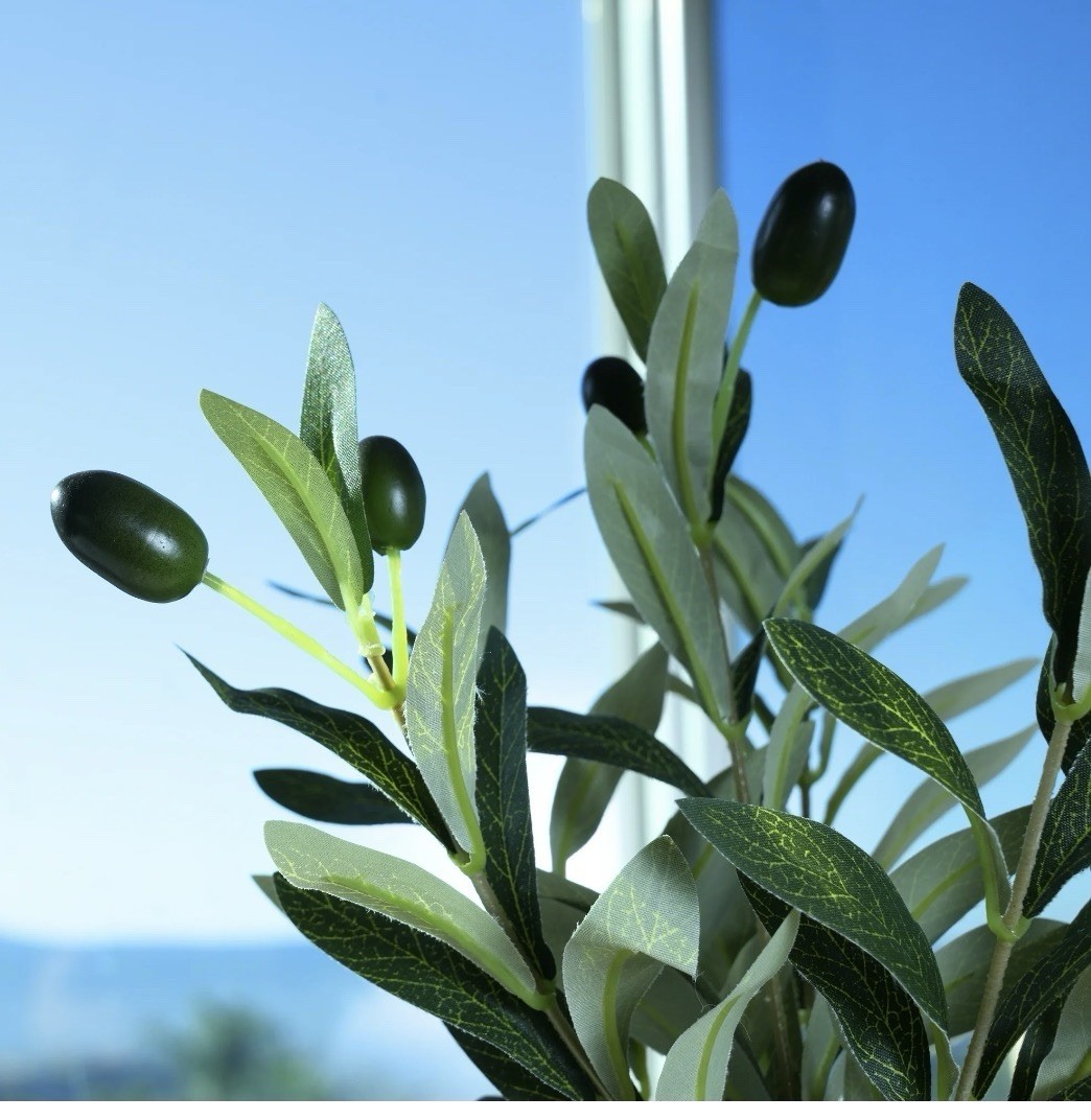 Artificial Olive Branch Arrangement in Beige Vase, Green/Black, 15 in x 6.5 in