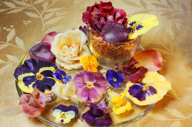 Fresh Edible Garnish Flowers-Bright Pansies Overnight Free Shipping WEDNESDAYS