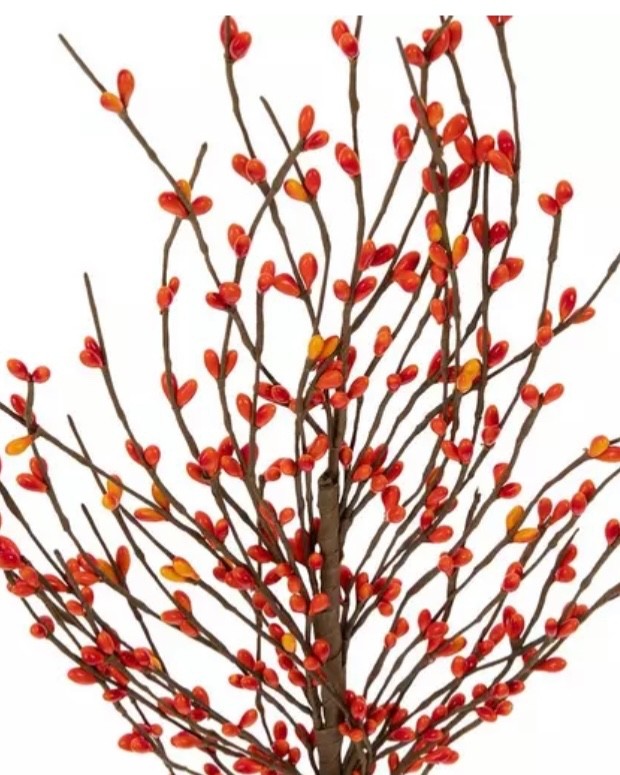 Autumn Fall Primitive Orange Pip Berries Pick 12”