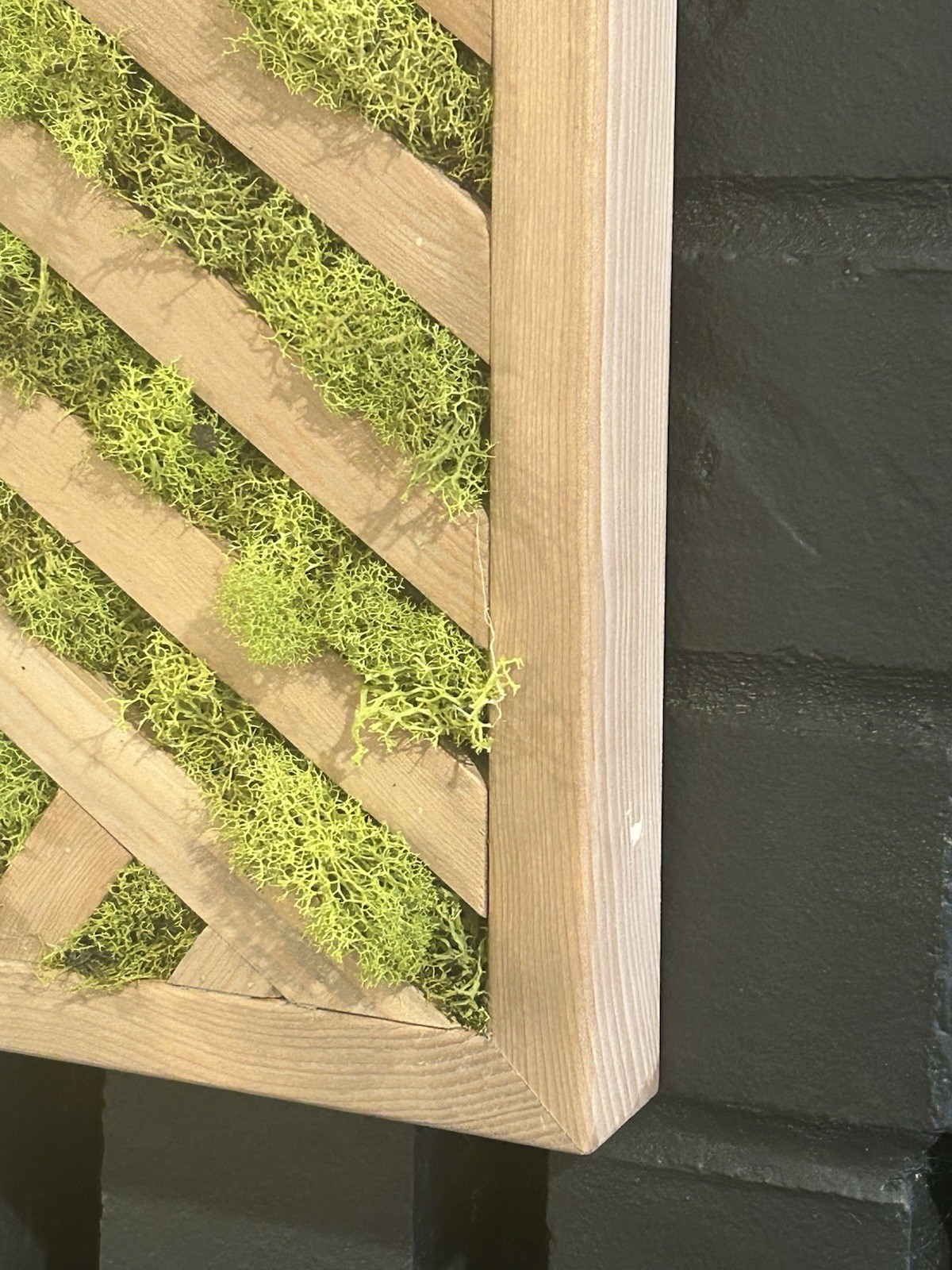 Handmade Preserved Moss Geometric Wall Art – For Your Living Space 24″x24″