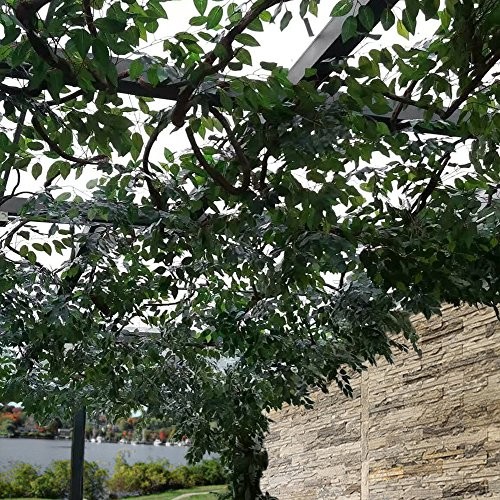 GTIDEA 12 Pcs Ficus Tree Leaves Branches Artificial Assorted Colors , Sizes