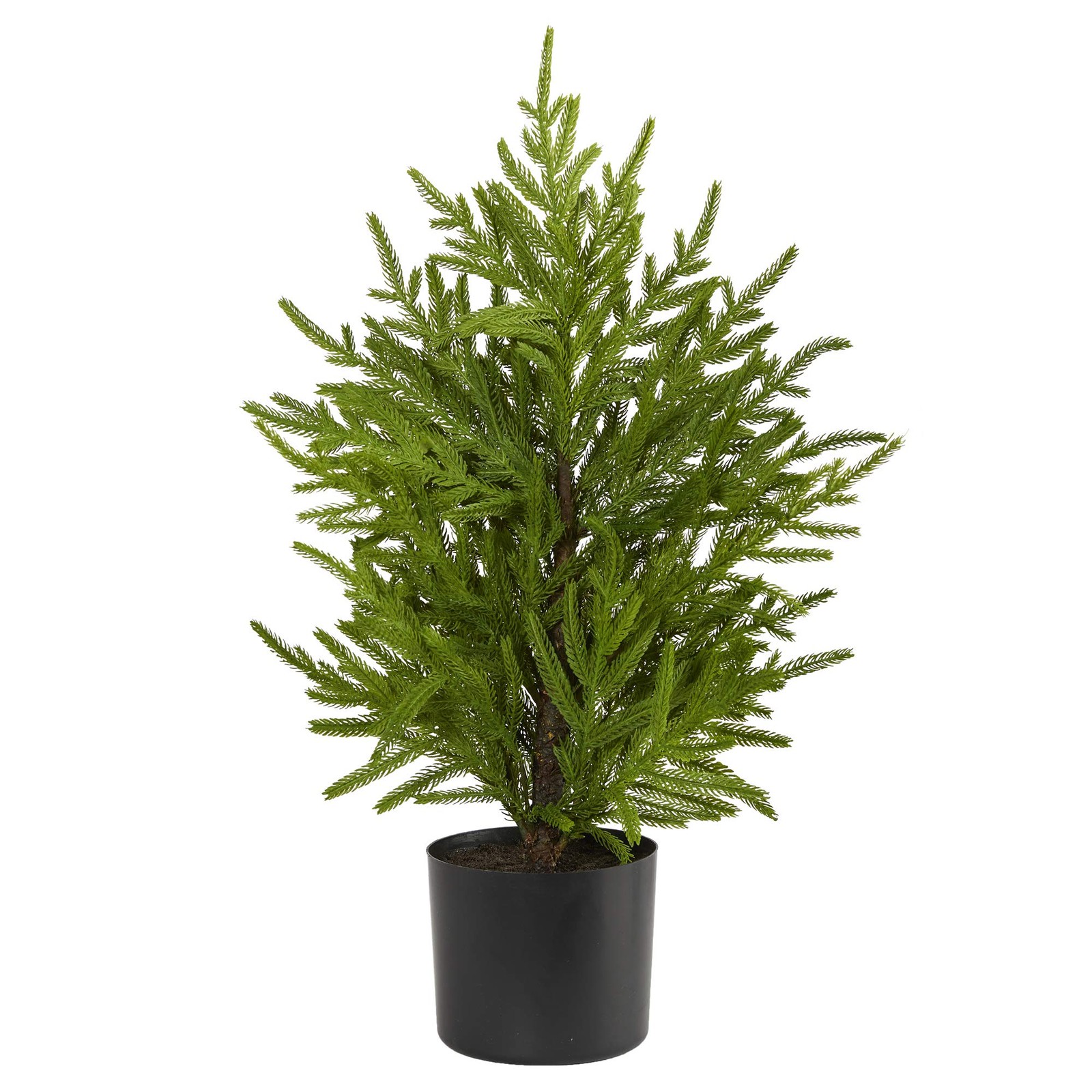 Nearly Natural 2ft. Norfolk Island Pine Look Artificial 2ft, Green