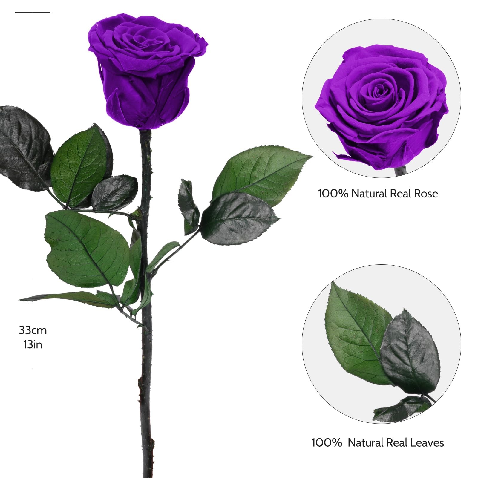 1 PCS Preserved Flowers Rose for Mom Grandma Birthday Valentine’s Day
