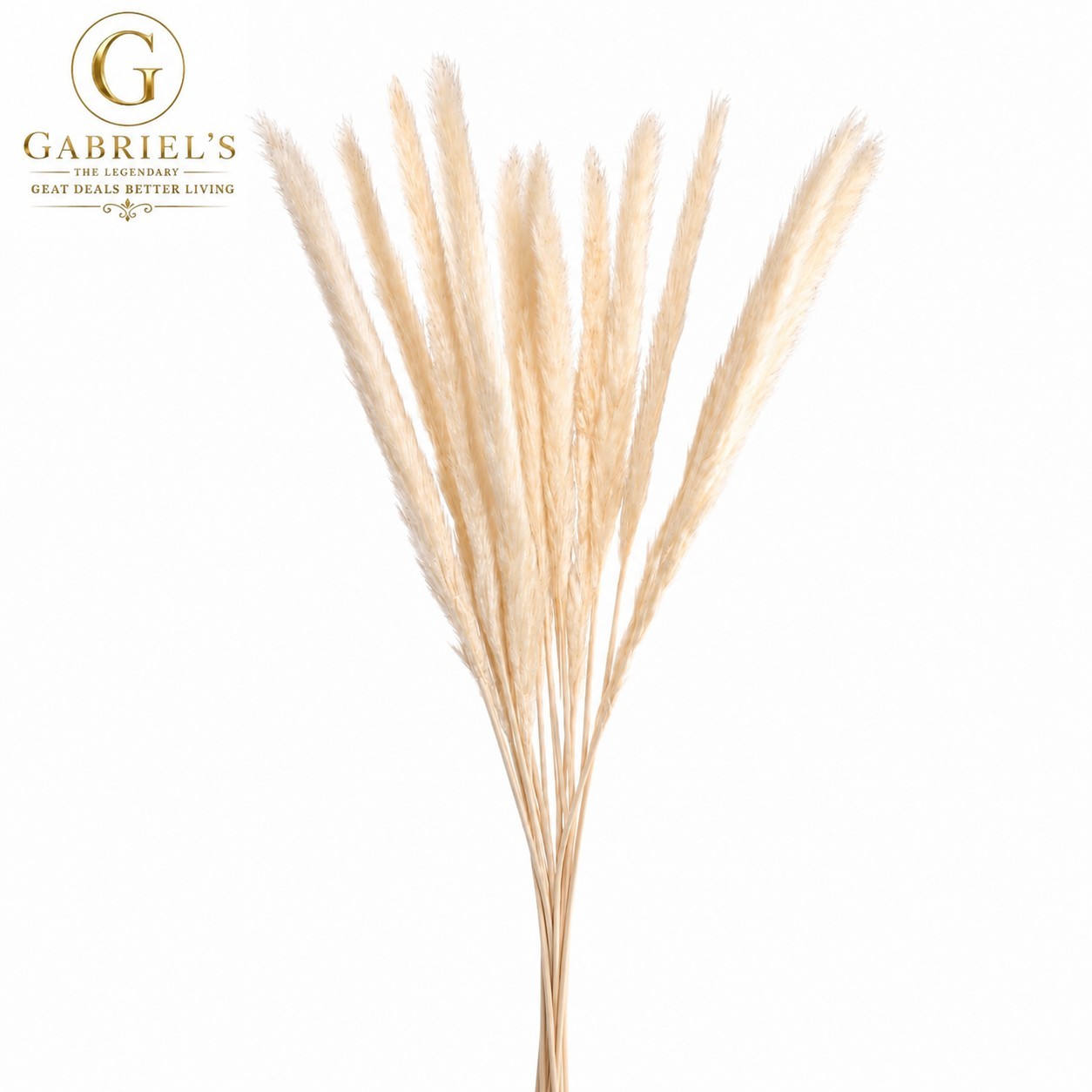 15 Stems Natural Dried Reed Grass Pampas Style Boho Home Vase Wedding Decor