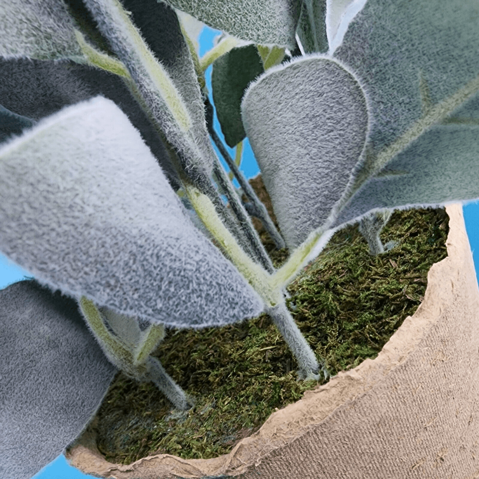 Flocked Lambs Ear Artificial Plant with Moss In Brown Paper Pot 10 inch