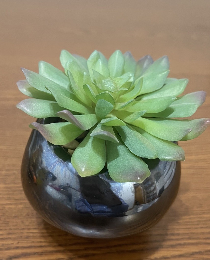 SKULL ..Flora Artificial Plant in Cool blue carnival skull 4in