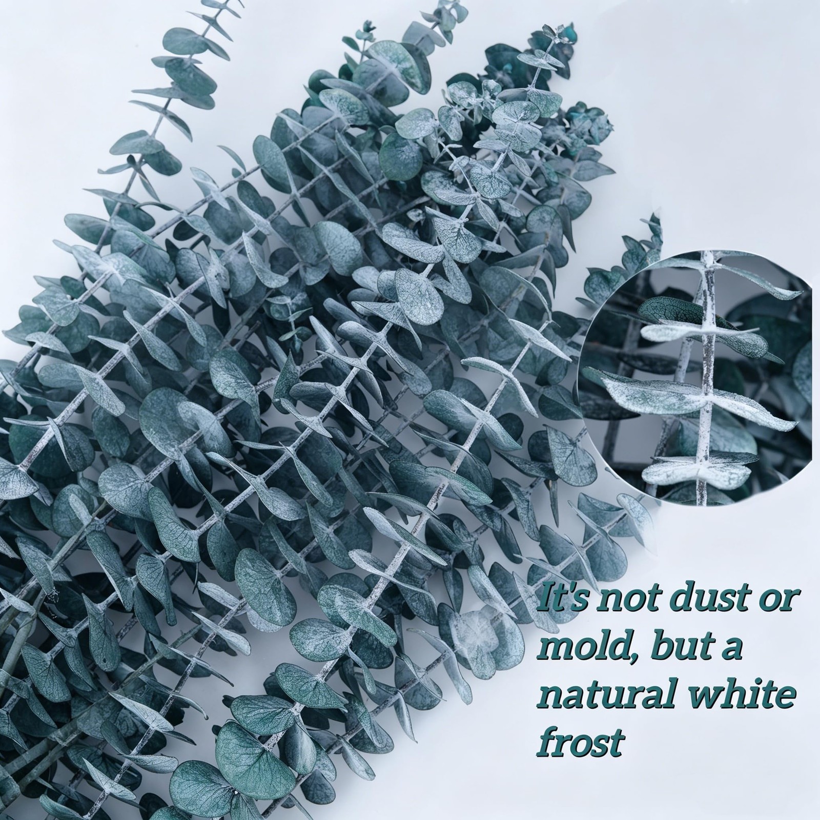 20 PCS Blue Preserved Eucalyptus Stems, 17″ Natural Dried Eucalyptus Branches…