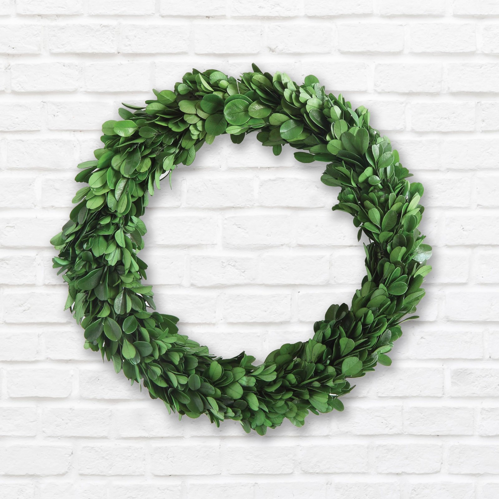 9.75 Inch Preserved Boxwood Evergreen Wreath for Indoor Home Decor Greenery