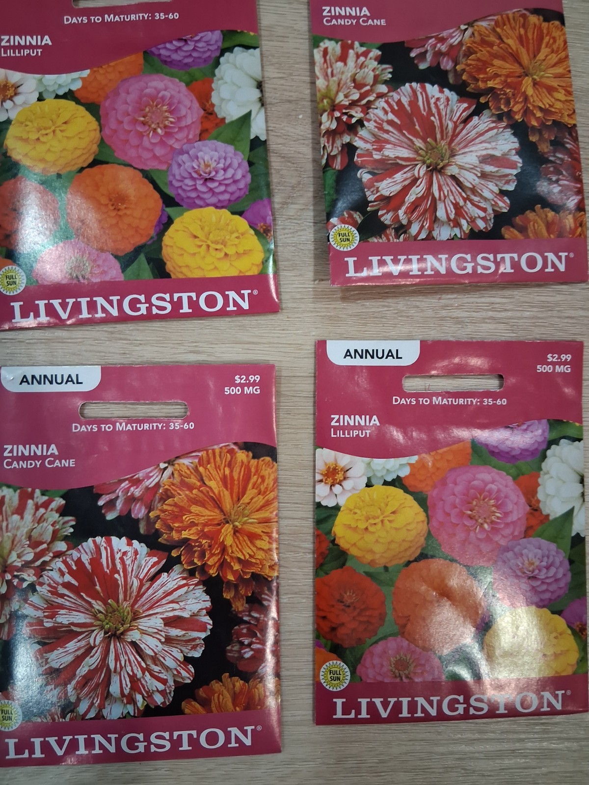 Lot of Zinnia flowers