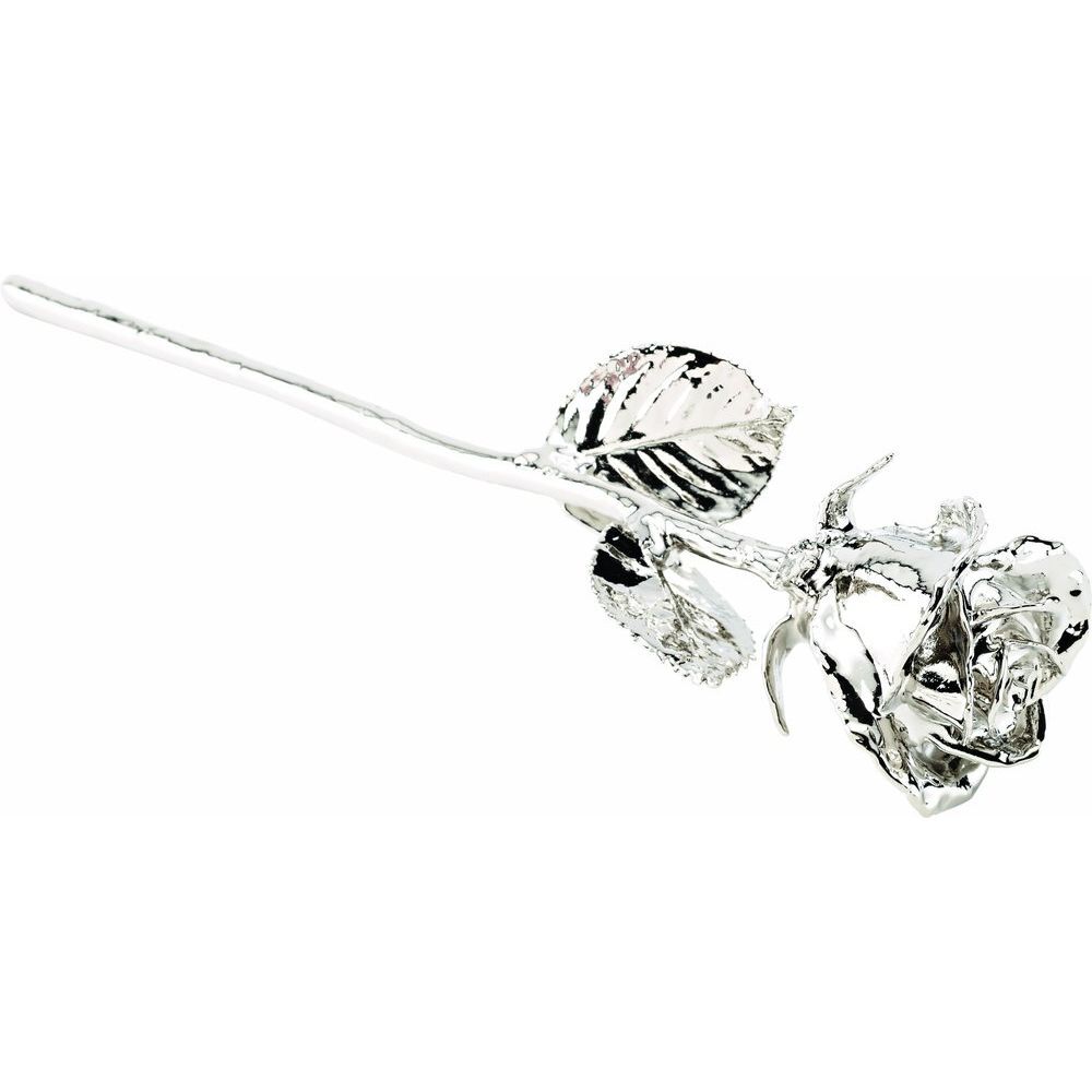 Platinum Hand-Plated Real Rose Valentine’s Day Holiday Gift
