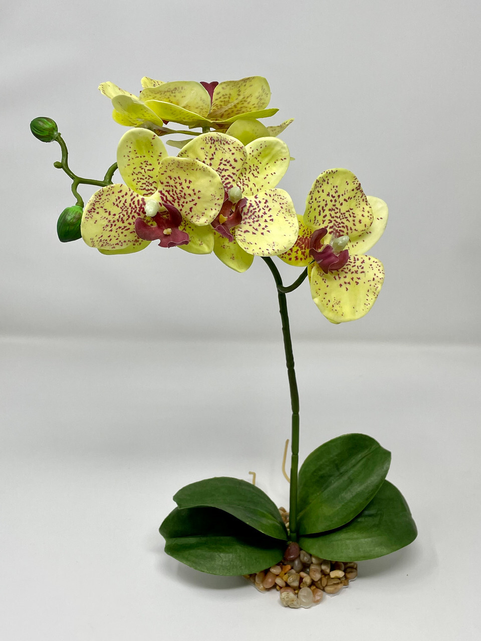 Home Decor 10-14″ Pale Yellow PHALAENOPSIS ORCHID Soft Silk plant, Stone base