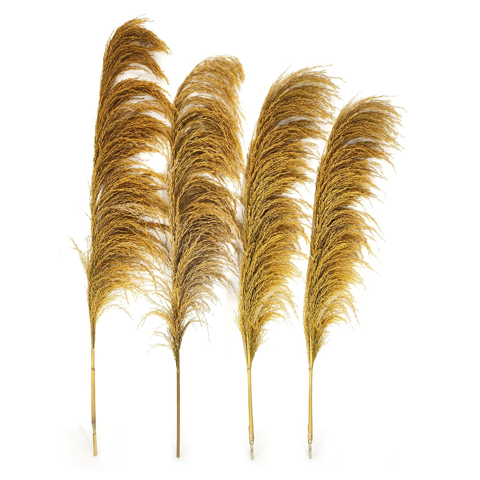 Pampas Grass Decor Tall,Long Pampas, Large Pompas Floral, Elegant Feather Flo…