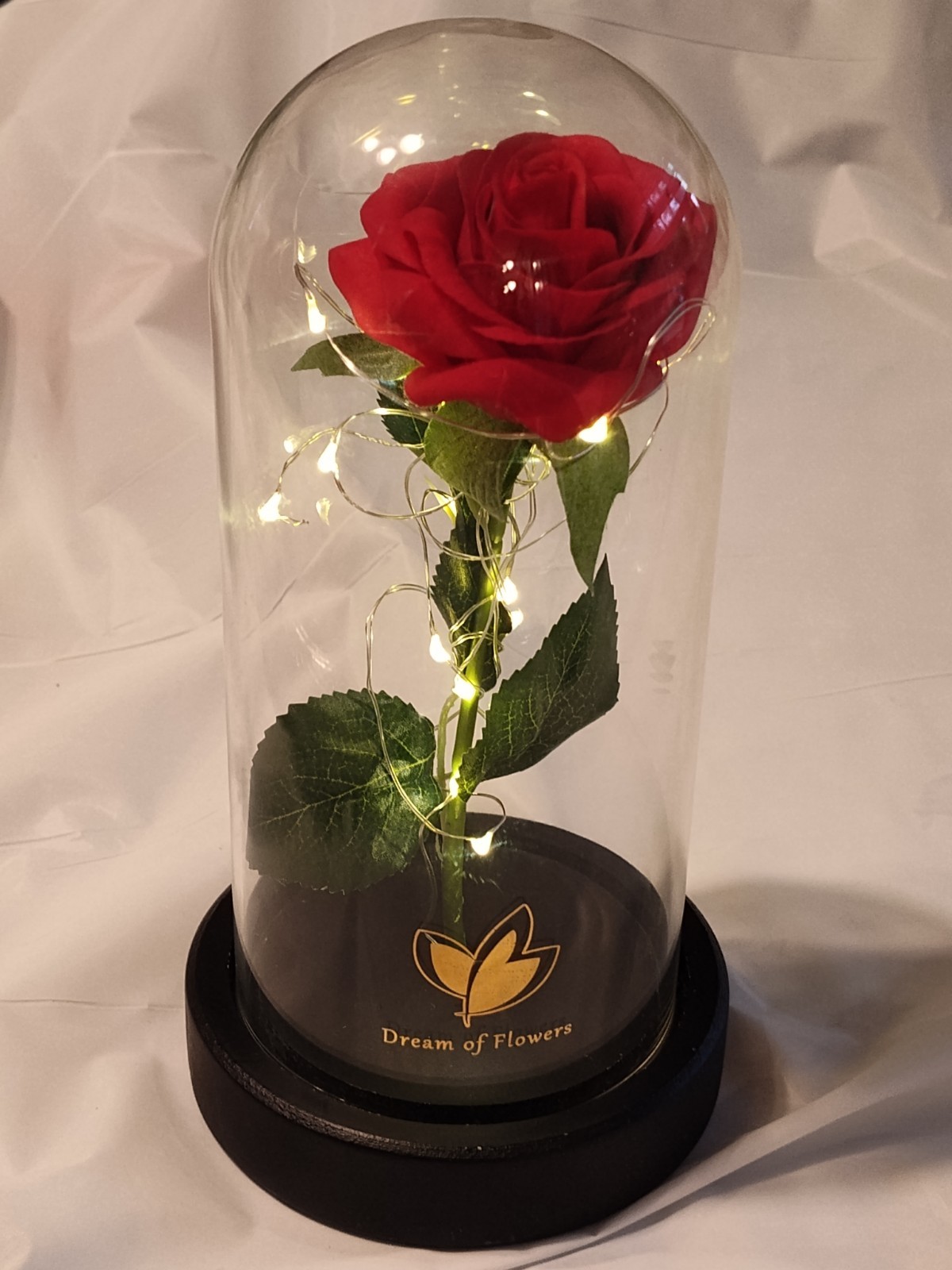 Dream Of Flowers Beauty and The Beast Rose Red Lasts Forever Wood Base lighted