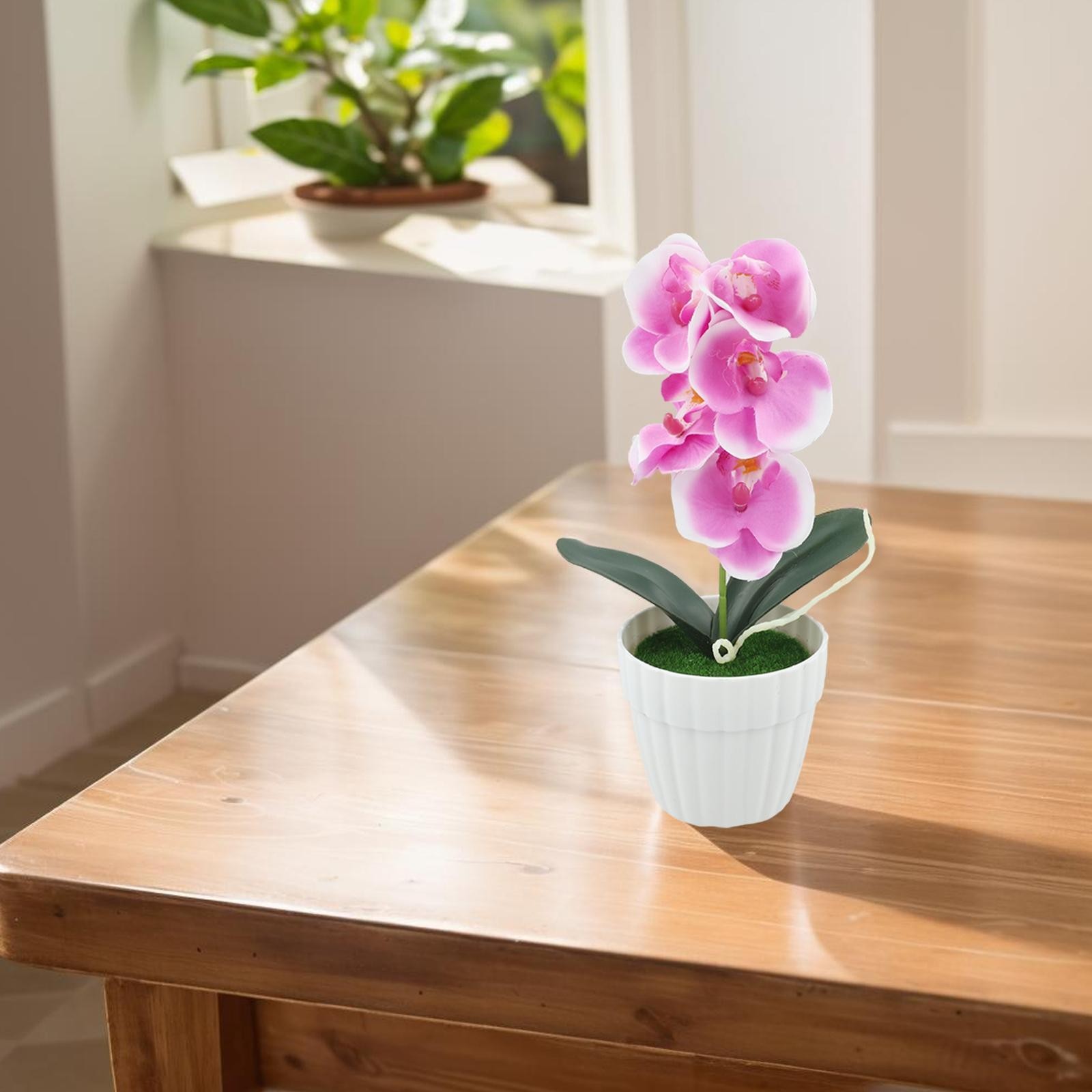 Small Simulation Phalaenopsis Bonsai Flower for Indoor Decorative Display