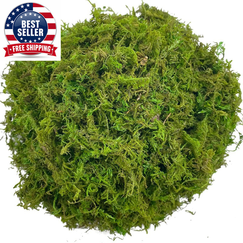 Artificial Moss Green for Potted Plant Orchid Potting Mix Peat Moss Pole Craft