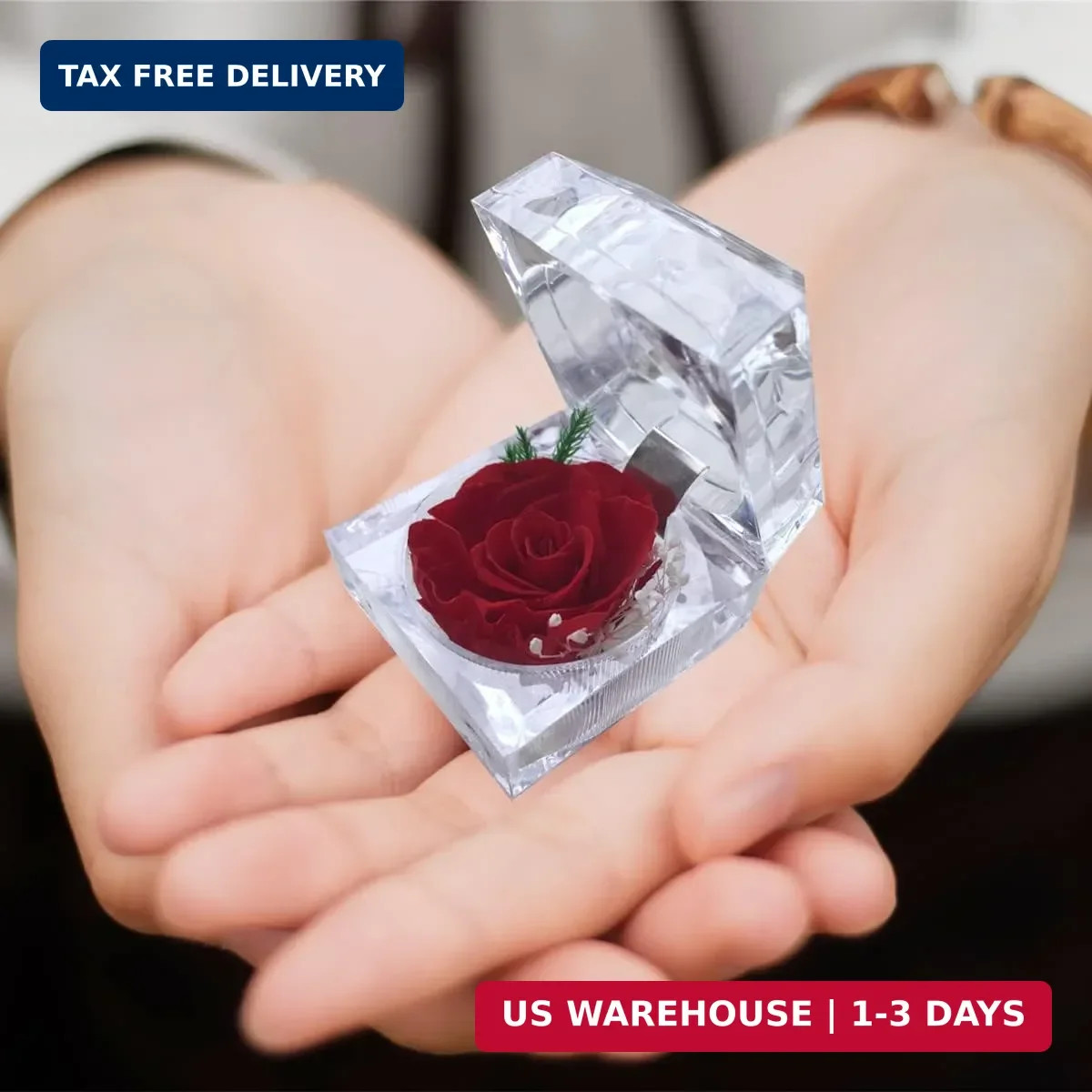 Preserved Rose Real Forever Rose in Mini Clear Ring Box, Eternal Flower Rose Gif