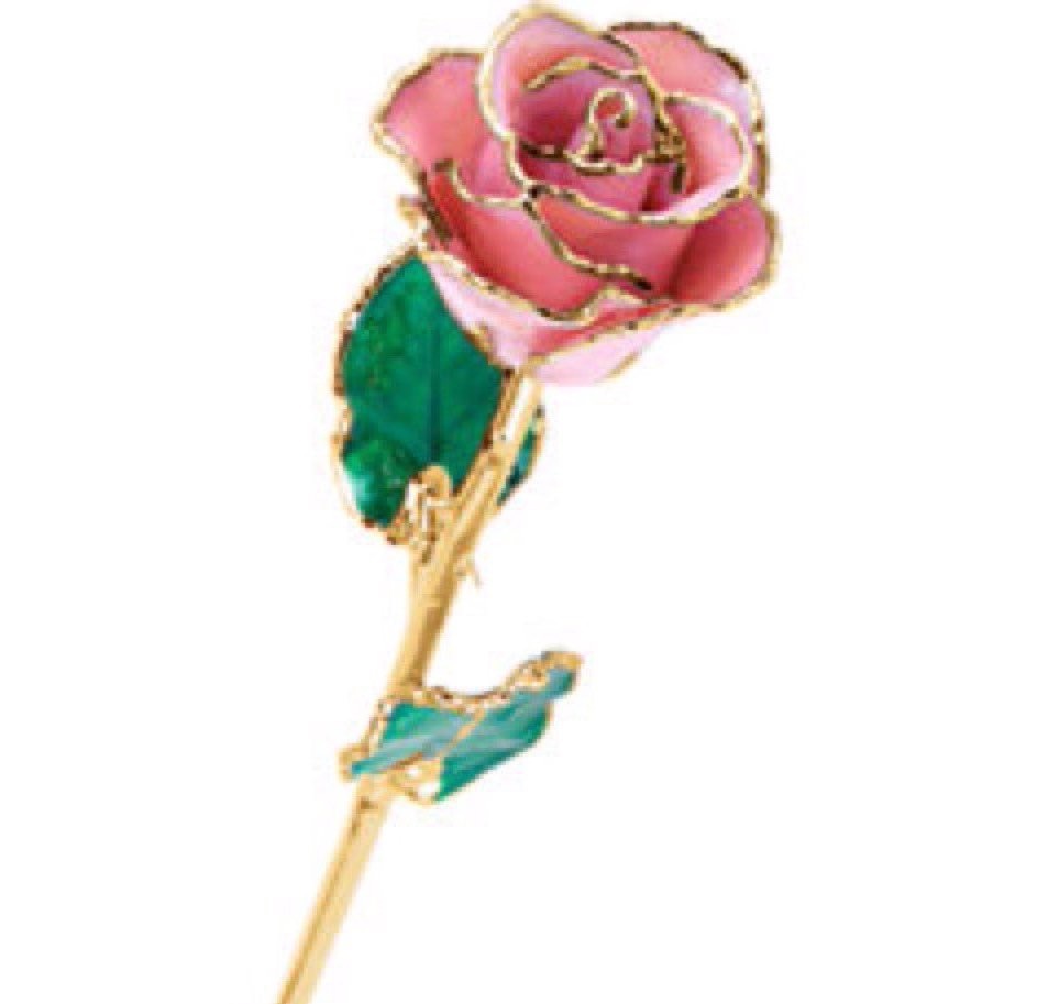 24K Yellow Gold Trimmed White Rose April Diamond White Real Long Stem Rose