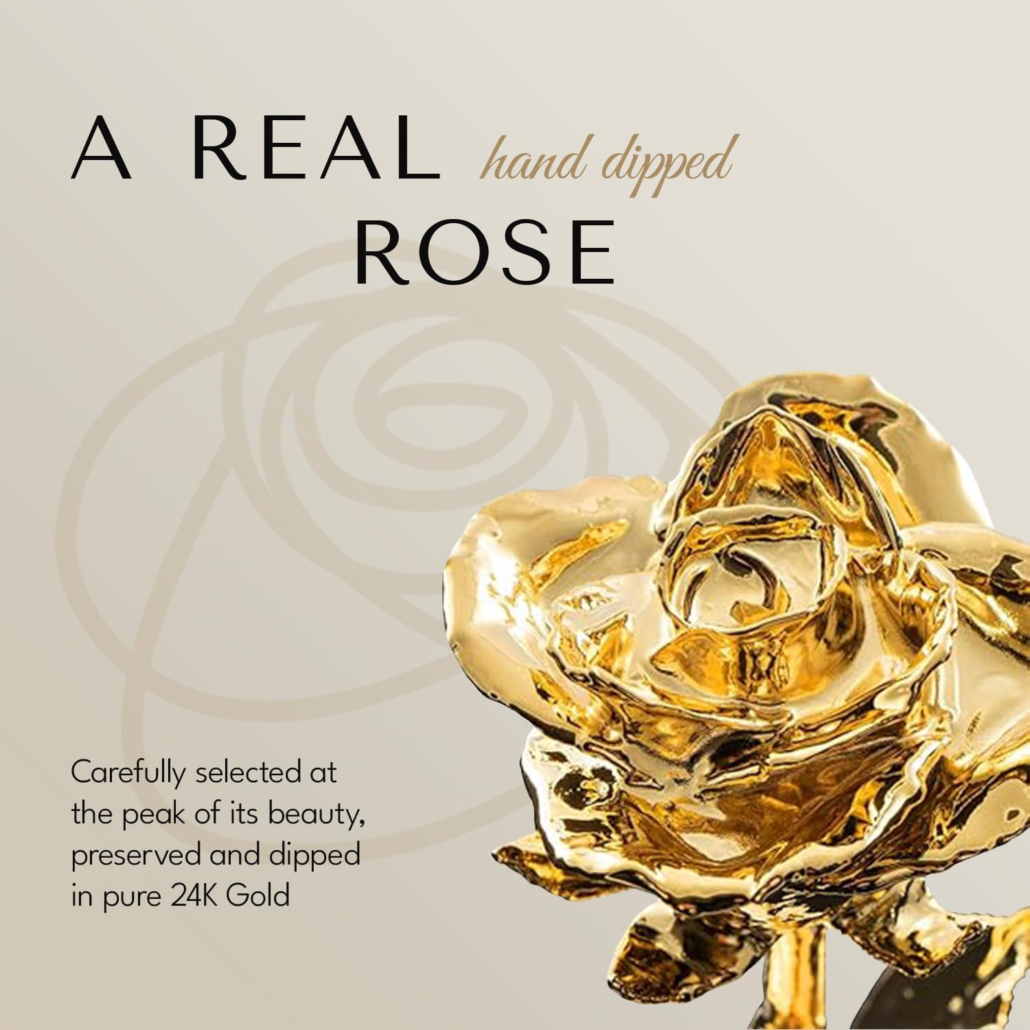 Genuine Gold Dipped Rose in Luxury Leather Case with LED Lights – Unique Gift