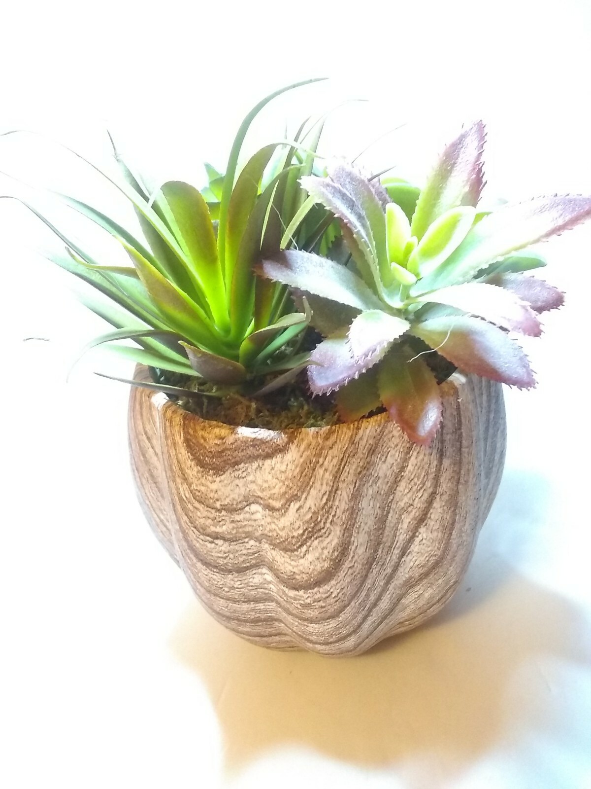 New Ceramic Planter w/ Faux Succulent Plant Decor, Brown & Cream 8 “