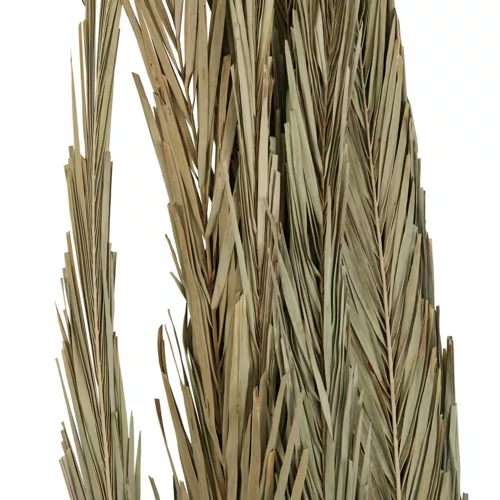 61 In. Tall Natural Foliage with Grass (One Bundle)