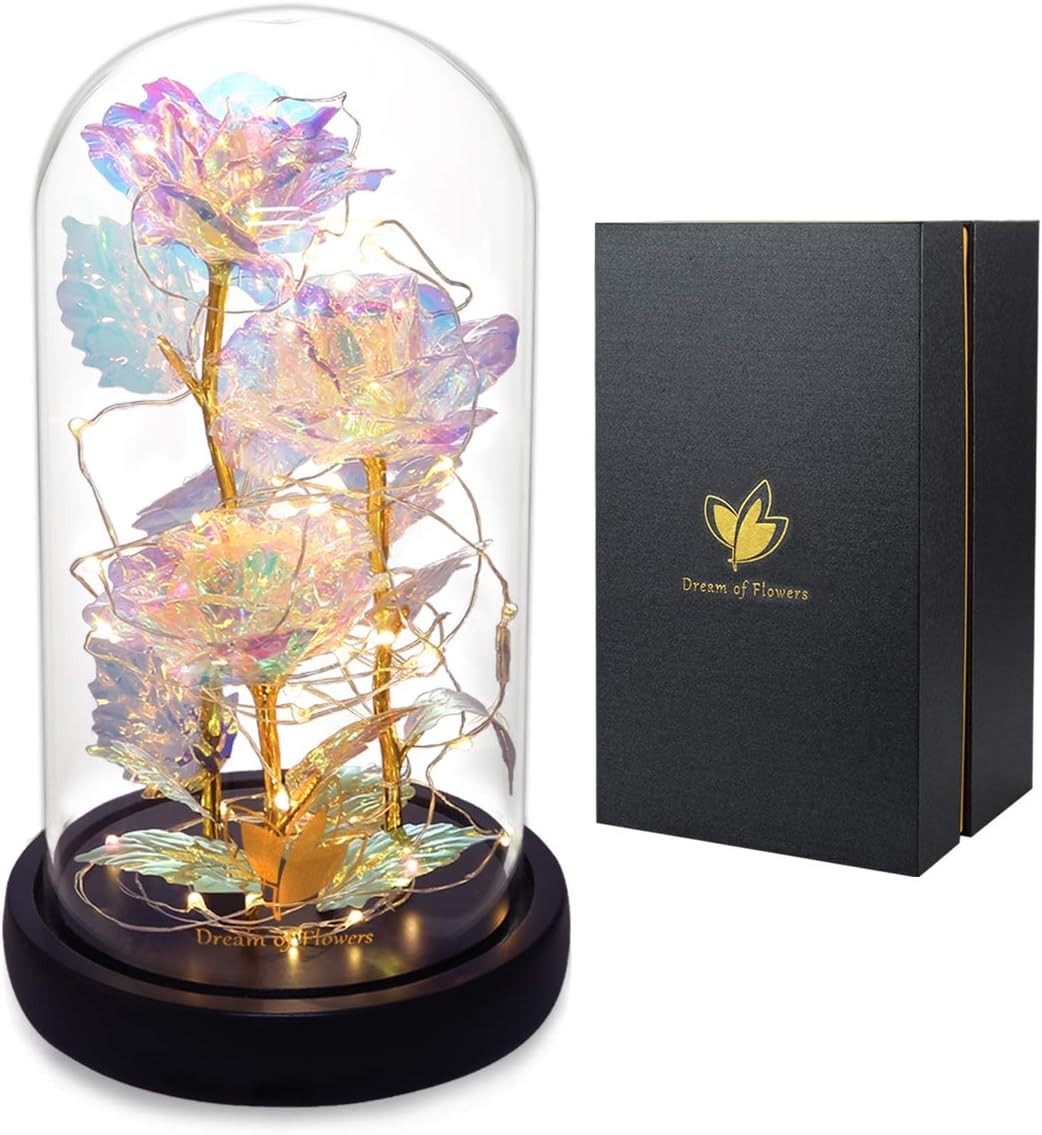 Valentines Day Gifts for Her, Beauty and The Beast Rose,Preserved Real Rose in G