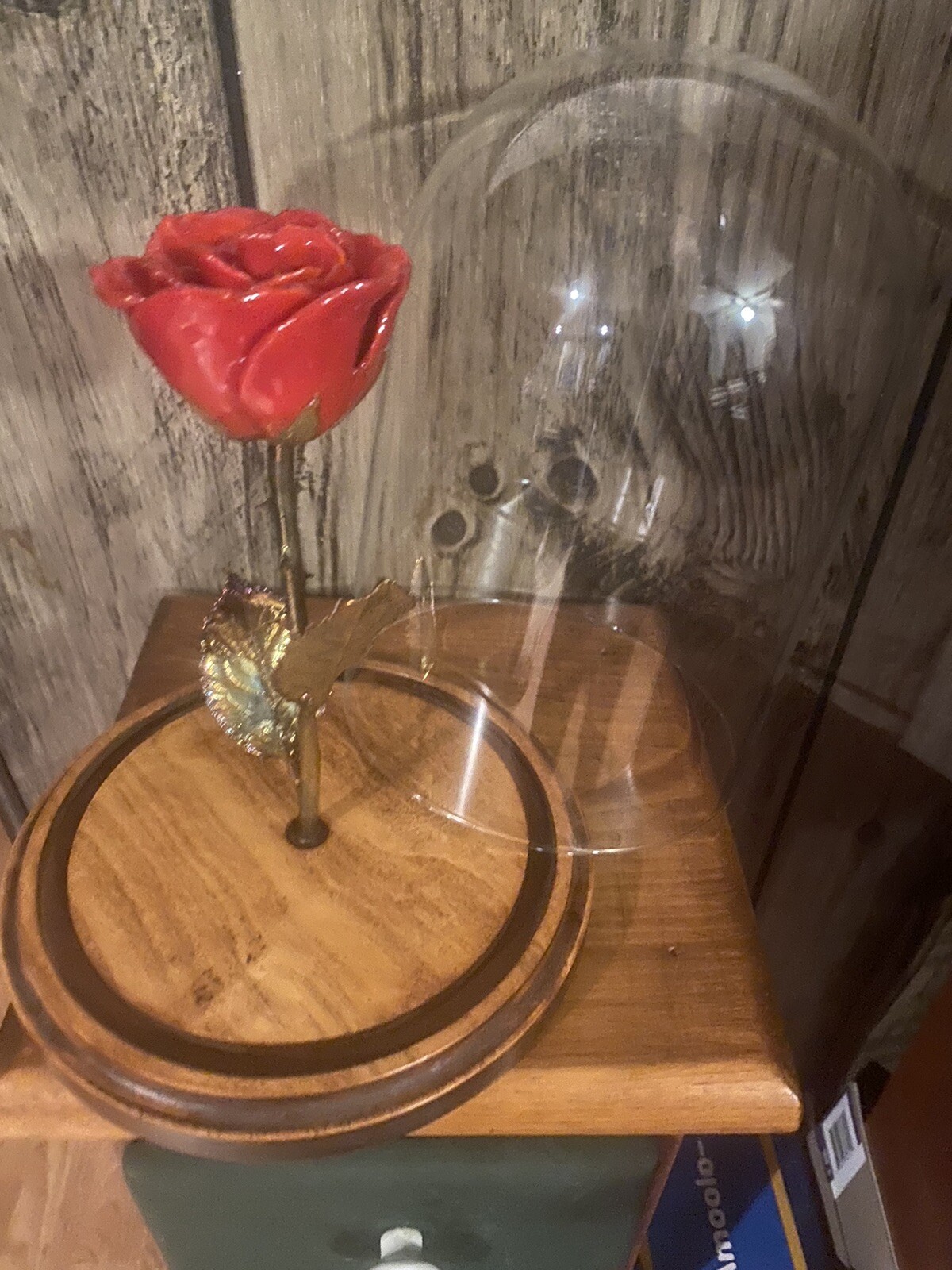 Forever Lacquered Red Rose with Removable Glass Dome