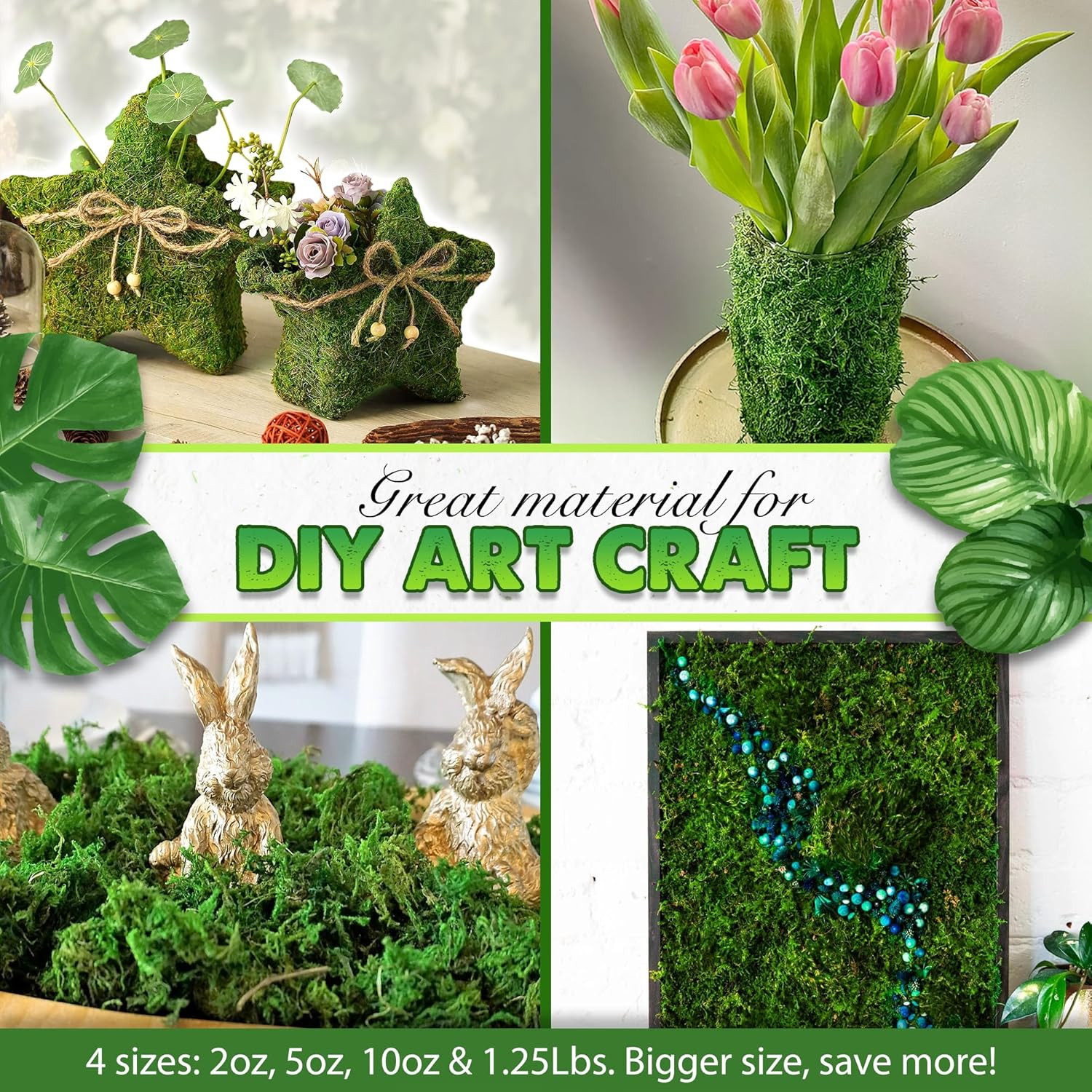 [Upgraded] Green Moss for Crafts, Real Forest Moss Potted Plants, Decorative Mo