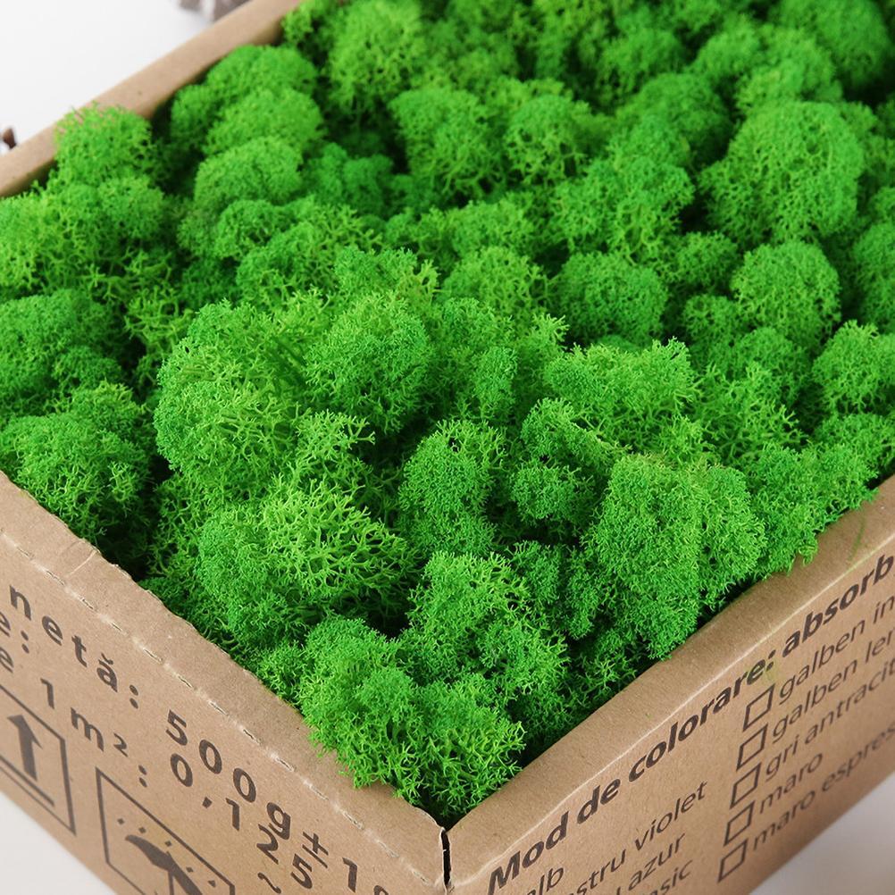 New Preserved Decorative Moss Natural New Preserved Moss For Home Decoration US
