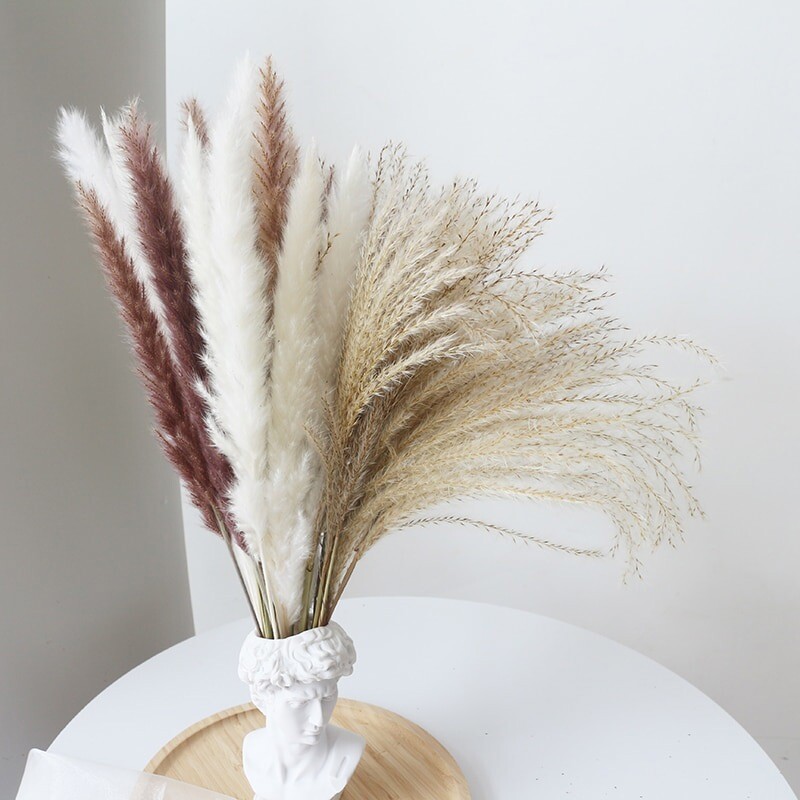 60PCS Natural Dried Pampas Grass Reed Flower Bunch DIY Flower Home Decor Supply