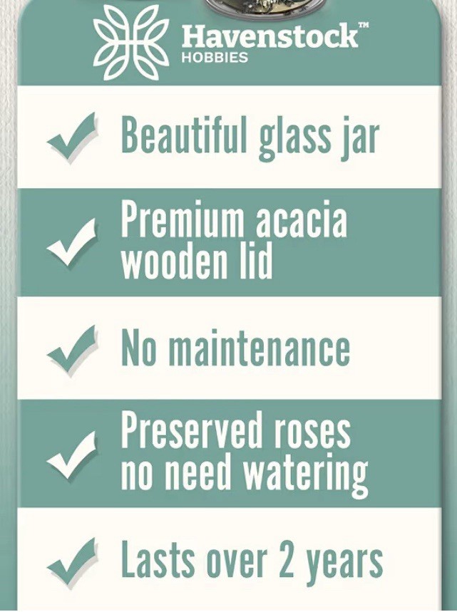 Havenstock Hobbies Everlasting Preserved Red Rose in Glass Jar, Acacia Lid