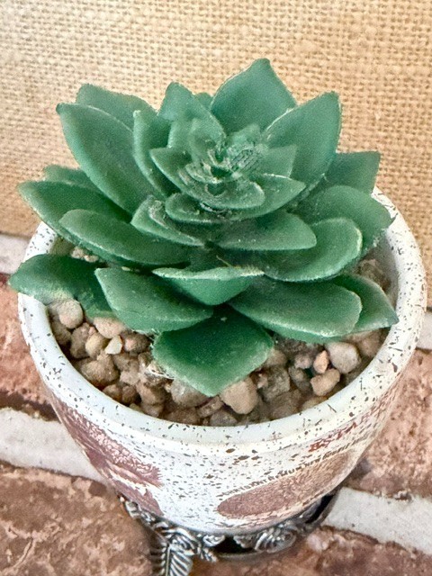 SMALL ARTIFICIAL SUCCULENT PLANT SHELF-SITTER DESK-TOP DECOR DORM ACCESSORY