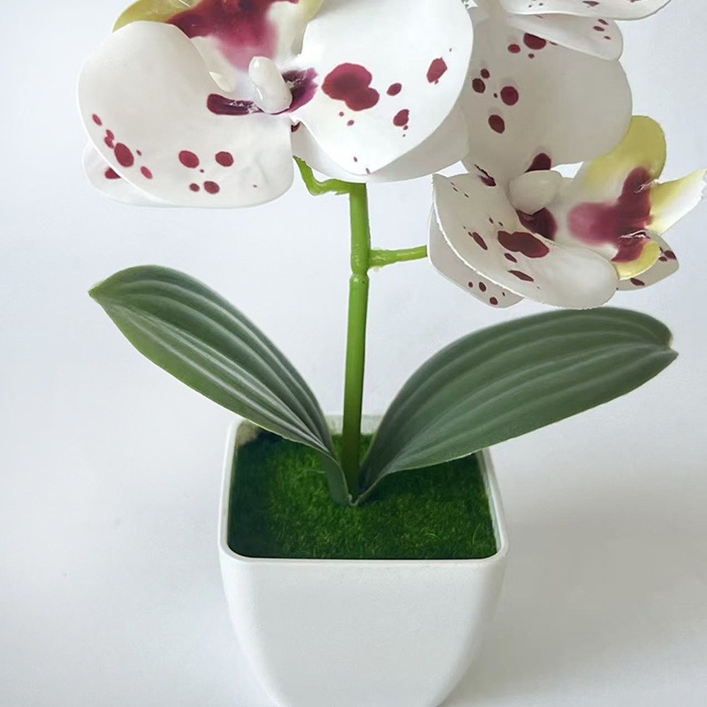 Artificial Orchid Arrangement 3 Bloom 7.09in with Square Pot for Living Room