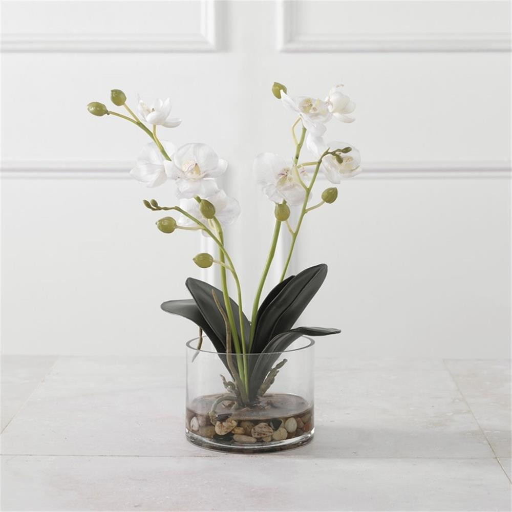 Uttermost Glory Contemporary Polyester Plastic and Iron Orchid in White