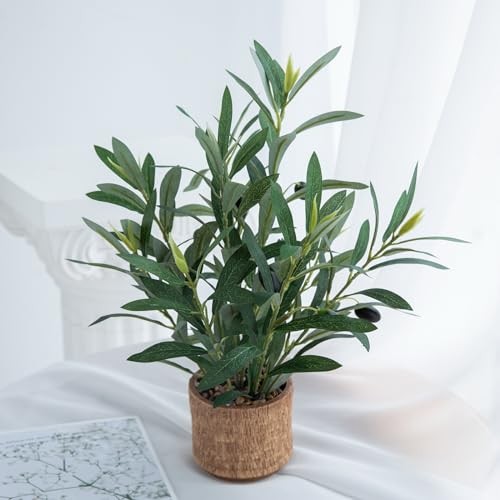 Indoor Fake Olive Plant 12 inch Faux Silk Leaves with Black Rustic Plant a