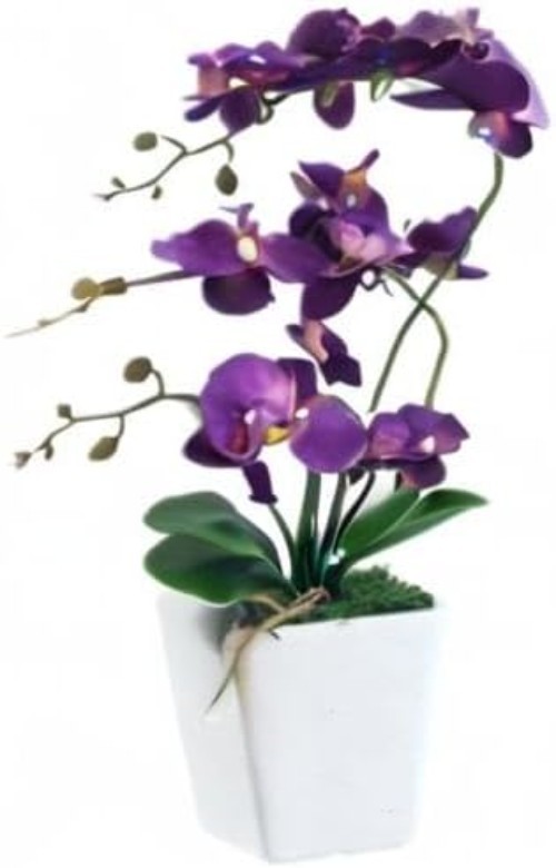 Lifelike 15″ Phalaenopsis Orchid with Square Ceramic Pot – Ideal for Home Decor