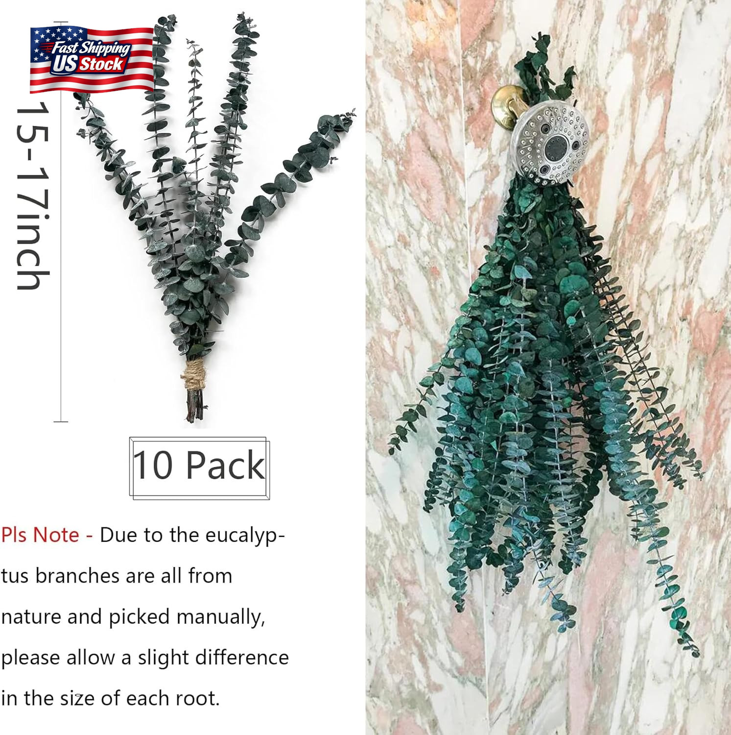 Eucalyptus for Shower 10 Pcs Hanging Dried Eucalyptu Stems 17″ Real Eucalyptus B