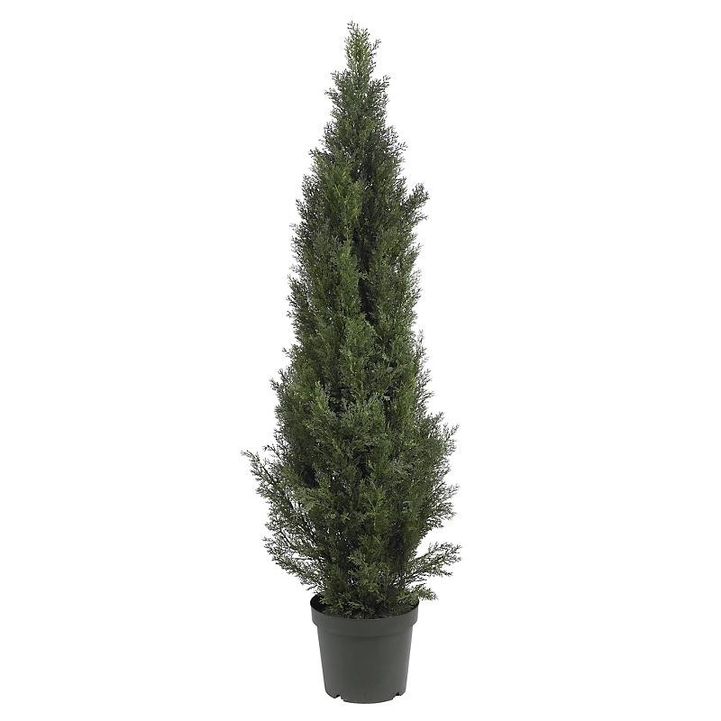 5′ Mini Cedar Pine Tree (Indoor/Outdoor)