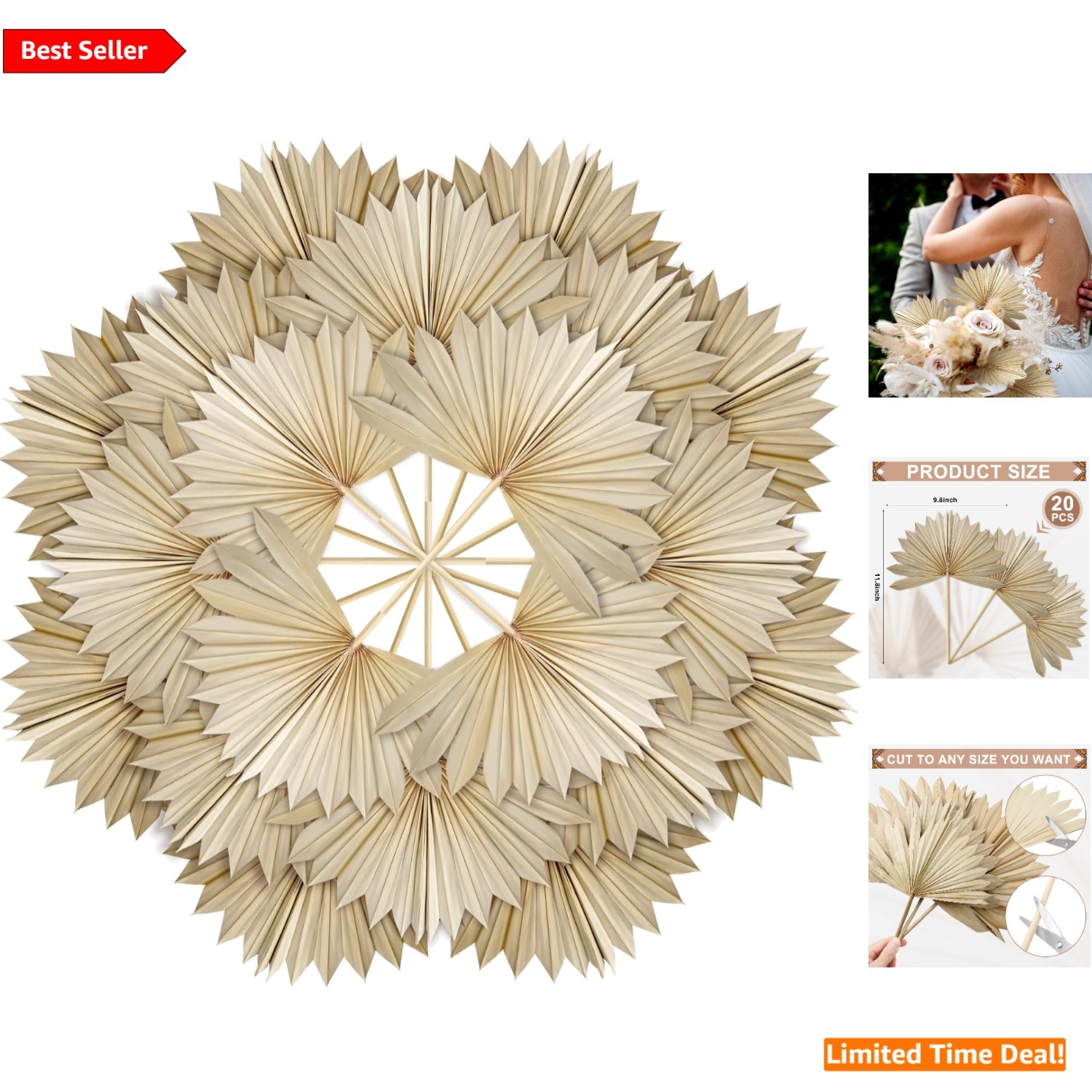 Natural Dried Palm Leaves Set of 20 – Ideal for Home Decor & Floral Arrangements