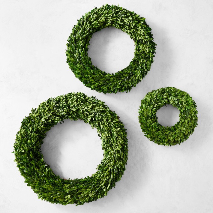 Preserved Boxwood Wreath-Williams Sonoma|38311